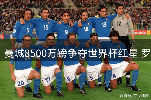 曼城8500万镑争夺世界杯红星 罗德里去留皇马成先决条件