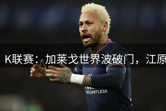 K联赛：加莱戈世界波破门，江原FC0-3惨败富川FC！